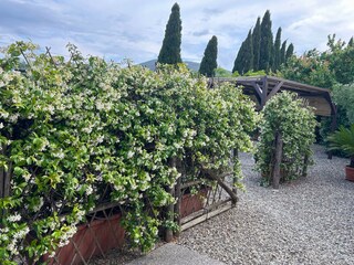 Eingang im Garten zur Wohnung