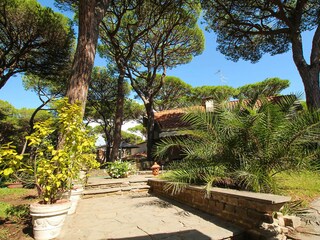 Villa Marina di Grosseto Environment 45