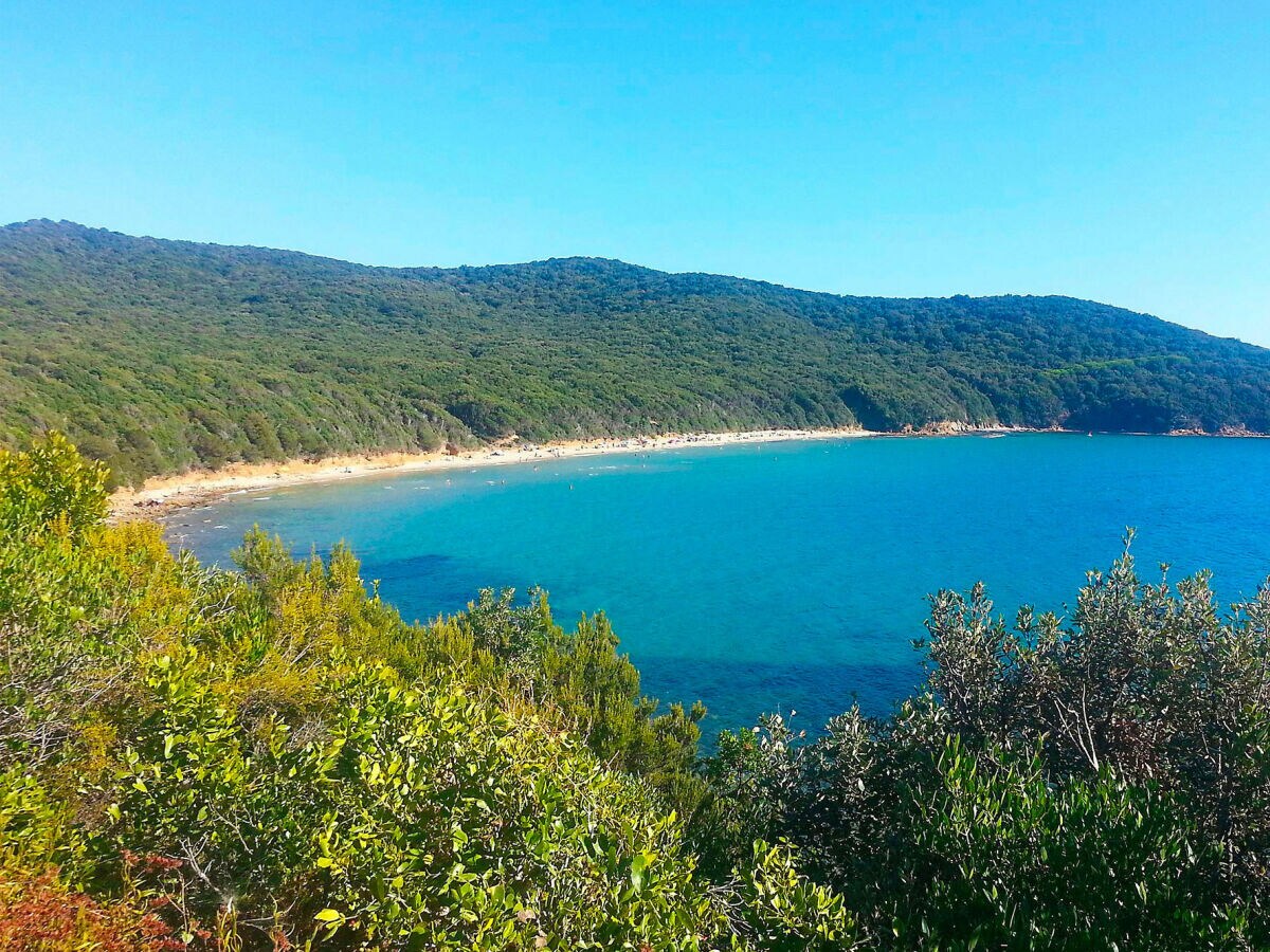 Der Strand von Cala Violina