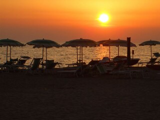 Chalet Marina di Campo Environment 25