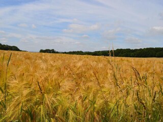 Casa per le vacanze Somme-Leuze Ambiente 23