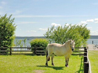 Ferienhaus Plau am See  32