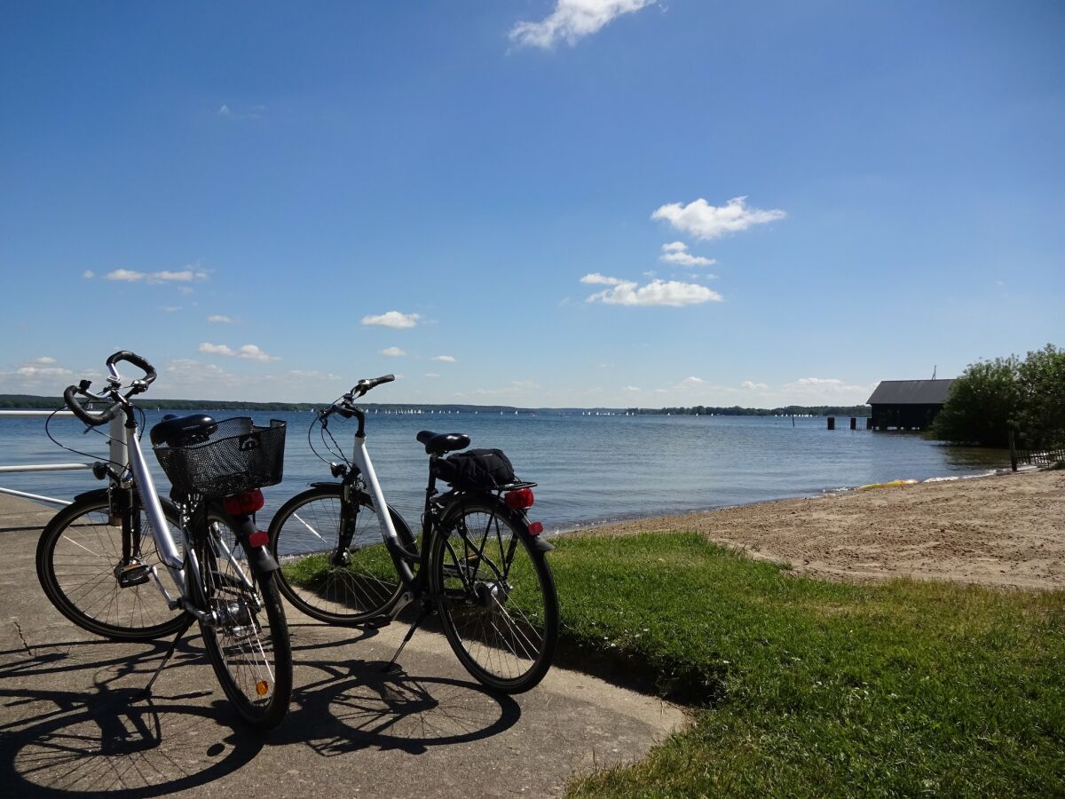 Ferienhaus Plau am See Umgebung 17