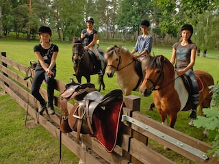 Ferienhaus Plau am See Außenaufnahme 9