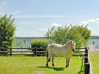 Vakantiehuis Plau am See  31
