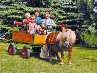 Casa per le vacanze Plau am See Registrazione all'aperto 7
