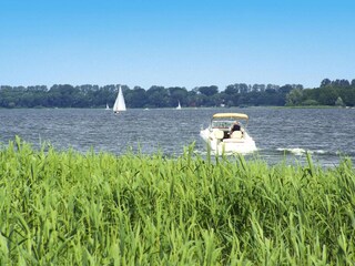 Ferienhaus Plau am See  37