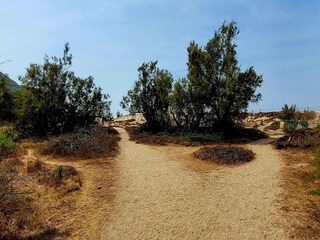 Holiday park Propriano Environment 28