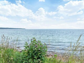 Ferienhaus Knebel  2