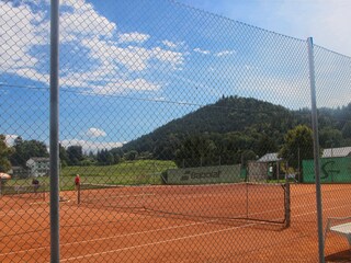 Tennis courts in the immediate vicinity 250 m