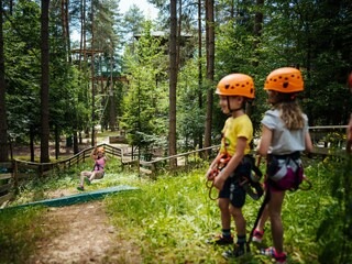 Forest adventure world for young and old children