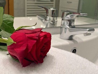 Appartamento per vacanze Unterburg - Klopeiner See Caratteristiche 26