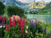 Apartamento Tignes Grabación al aire libre 1