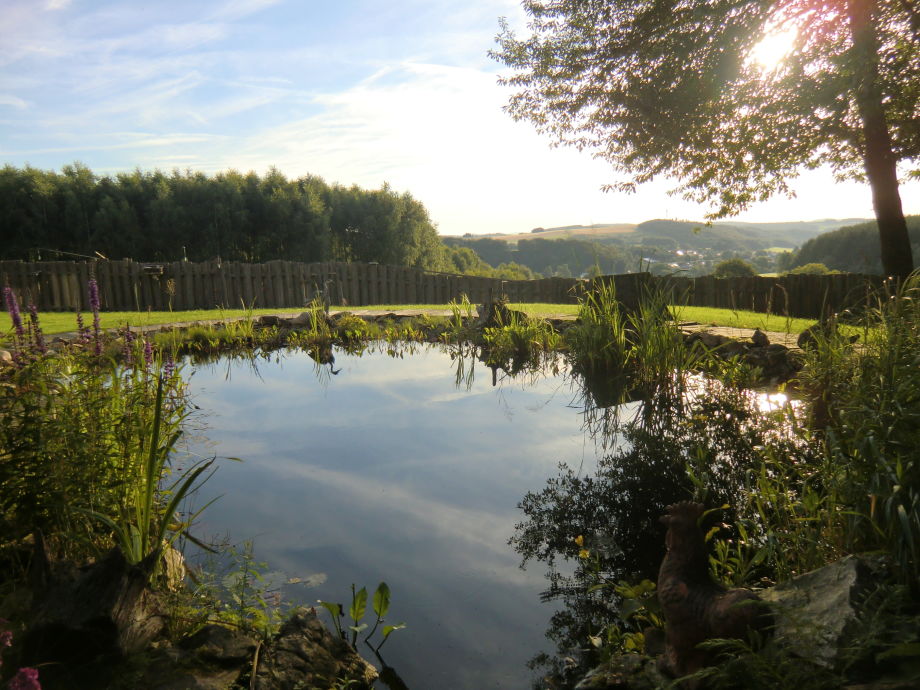 teich mit bauchlauf u wasserfall am haus