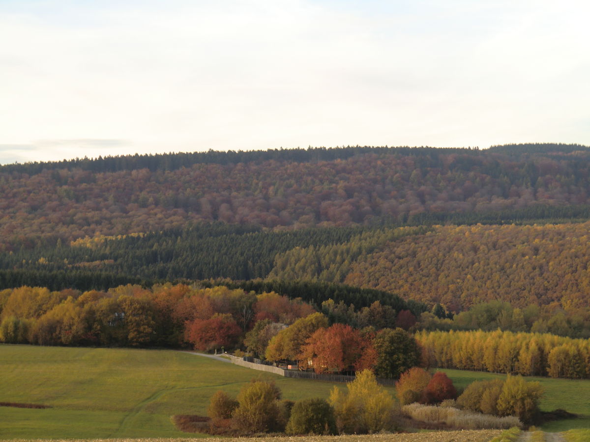 Single frauen hunsrück