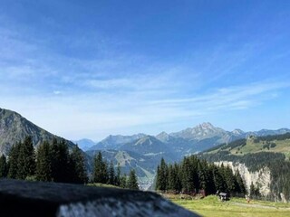 Apartment Morzine  31