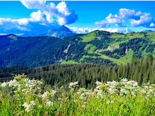 Apartment Morzine Outdoor Recording 31
