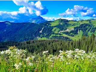 Apartment Morzine Außenaufnahme 30