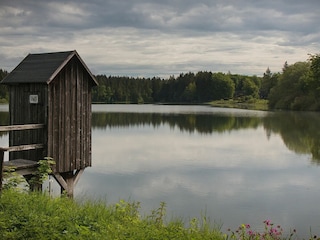 Holiday house Clausthal-Zellerfeld Environment 37