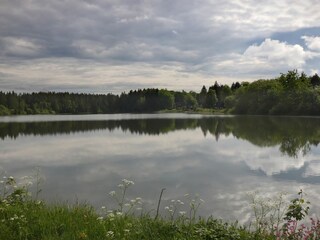 Holiday house Clausthal-Zellerfeld Environment 38