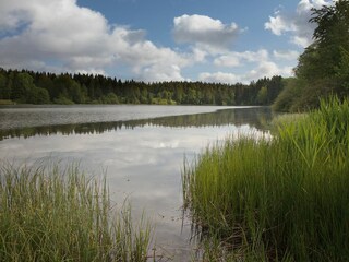 Holiday house Clausthal-Zellerfeld Environment 39