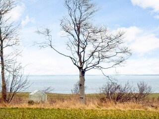 Vakantiehuis Eskov Strandpark  43