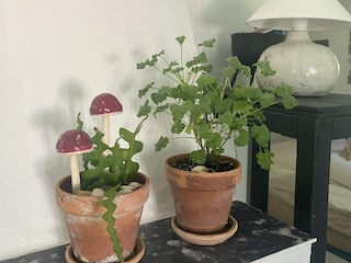 Holiday house Welt  17