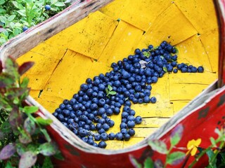 Vakantiehuis Welt Buitenaudio-opname 13