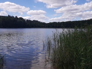 Bungalow Nuthe-Urstromtal Omgeving 18