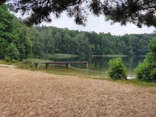 Bungalow Nuthe-Urstromtal Environnement 13