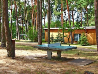 Bungalow Nuthe-Urstromtal Umgebung 16