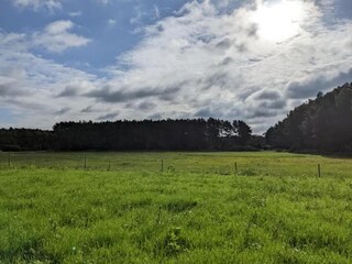 Bungalow Nuthe-Urstromtal Environnement 16