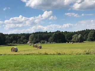 Bungalow Nuthe-Urstromtal Omgeving 18