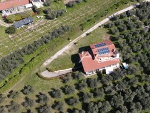 Ferienhaus I ROCCOLI – Villa mit privatem Pool, umgeben von Oliv - Bardolino - image1