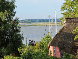 Dein Darß Urlaub Born: Blick auf den Bodden