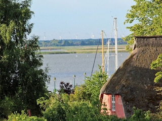 Your Darß vacation in Born: View of the Bodden lagoon