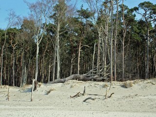 Dein Darß Urlaub: Inspiration am Weststrand