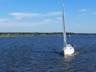 Bodden in Born am Darß