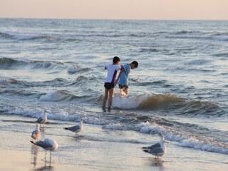 Noordwijk beach
