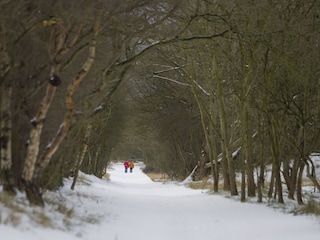 Winter walk