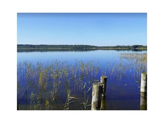 Nationalpark Müritz