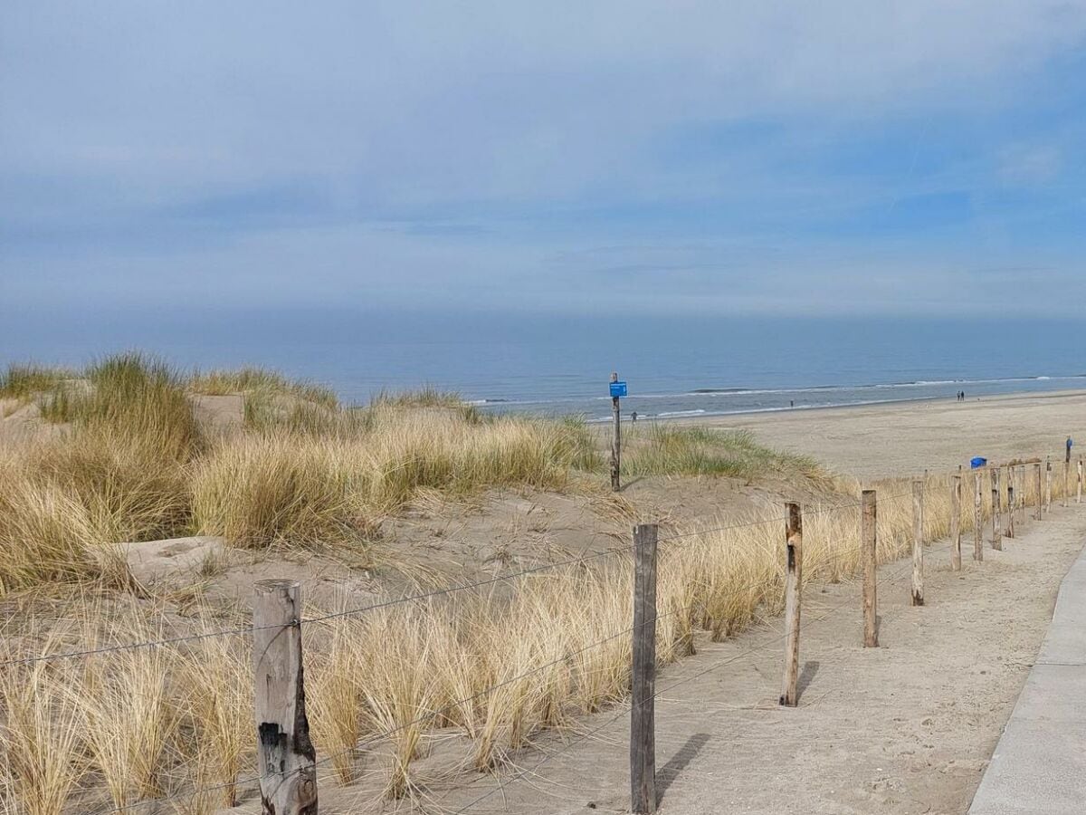 Bungalow Sint Maartenszee Umgebung 11