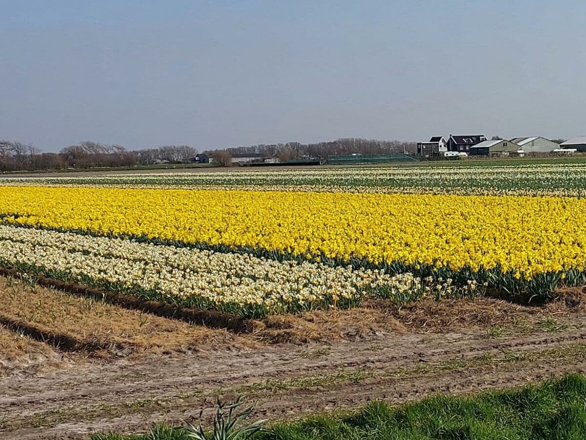 Bungalow Sint Maartenszee Umgebung 17