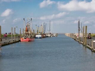 Hafen