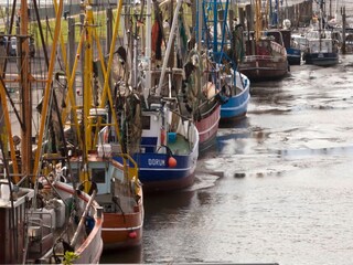 Hafen bei Ebbe