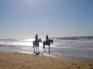 Parc de vacances Erdeven Environnement 34
