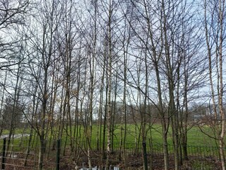 Casa per le vacanze Hoge Hexel Ambiente 18