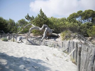 Ferienpark Saint-Florent Umgebung 25