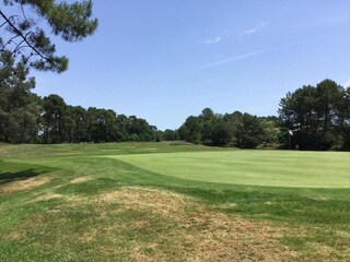 Vakantiepark Le Teich Omgeving 29