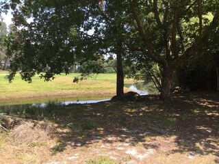 Vakantiepark Le Teich Omgeving 26